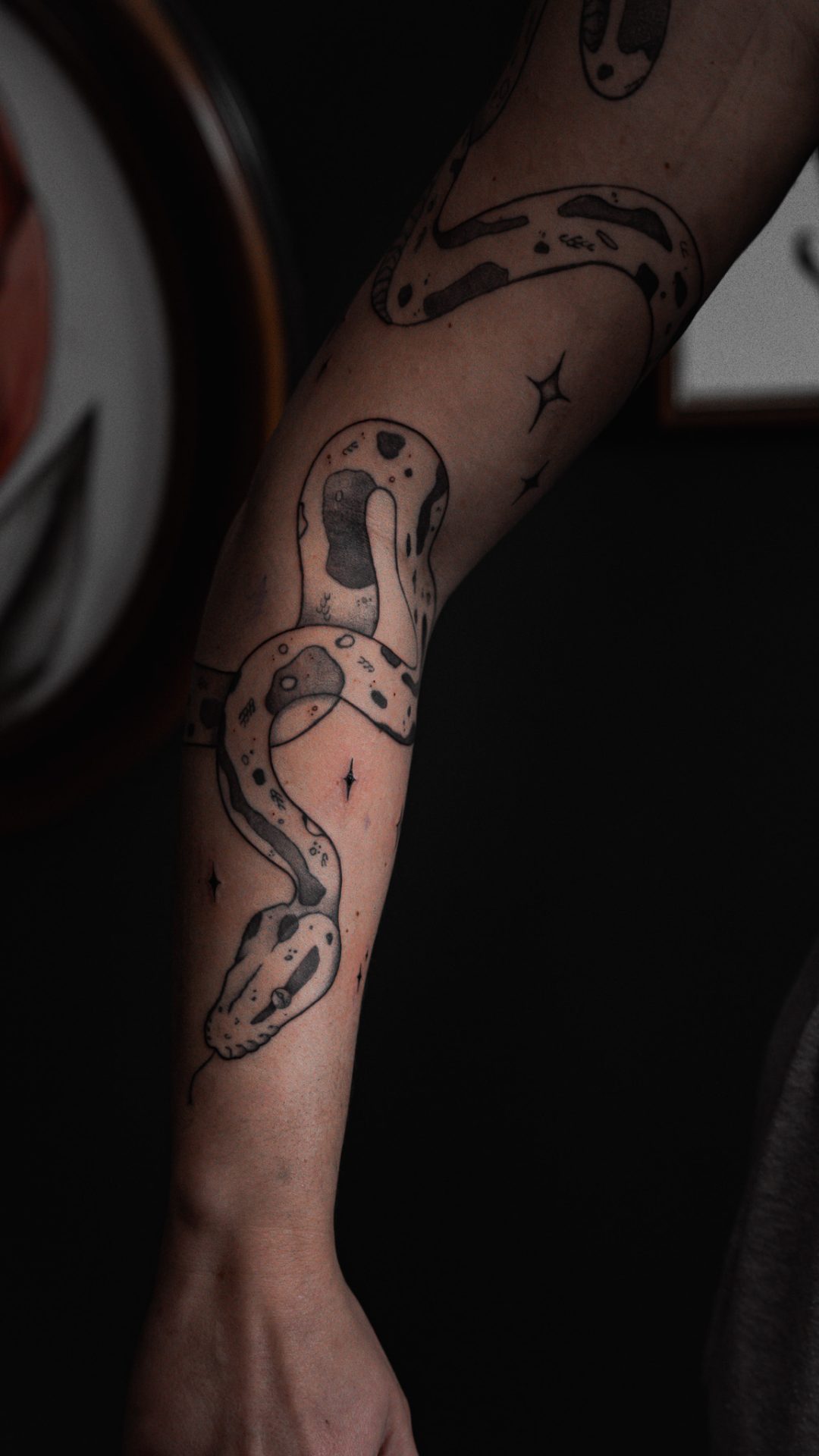 snake arm
