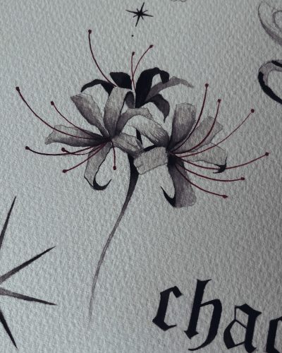 Spider lily