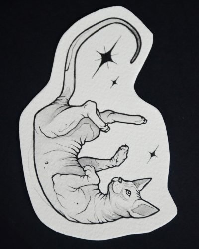 sphynx cat heaven