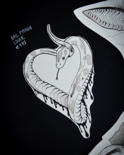 ball python snake lover